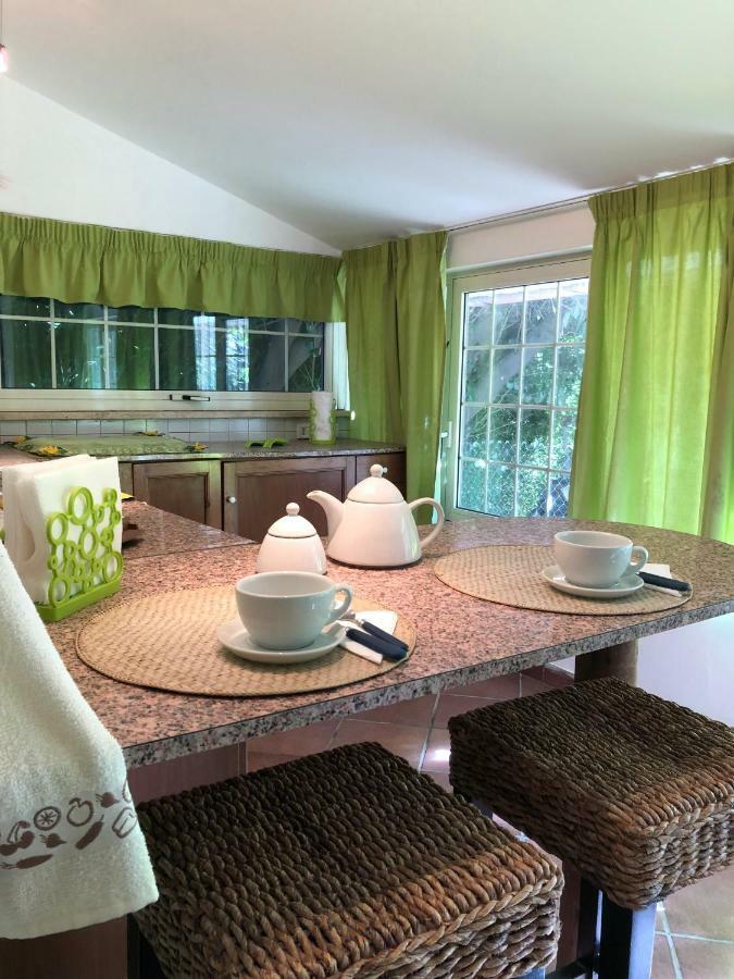 Villa Casa Gramapa à Rocca Priora  Extérieur photo